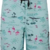 Hurley Boys' Flamingo Board Shorts For Boys' Teal Tint 2 Hurley Boys' Flamingo Board Shorts For Boys' Teal Tint -Deals The Tropi Trend Store unnamed file 407