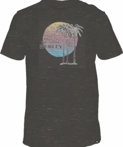 Hurley Men's Record Palms T-Shirt For Men Black/multi Color