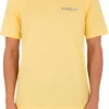 Hurley Men's Everyday Explorer Reflector Short Sleeve T-Shirt For Men Btr Sauce 2 Hurley Men's Everyday Explorer Reflector Short Sleeve T-Shirt For Men Btr Sauce -Deals The Tropi Trend Store unnamed file 753